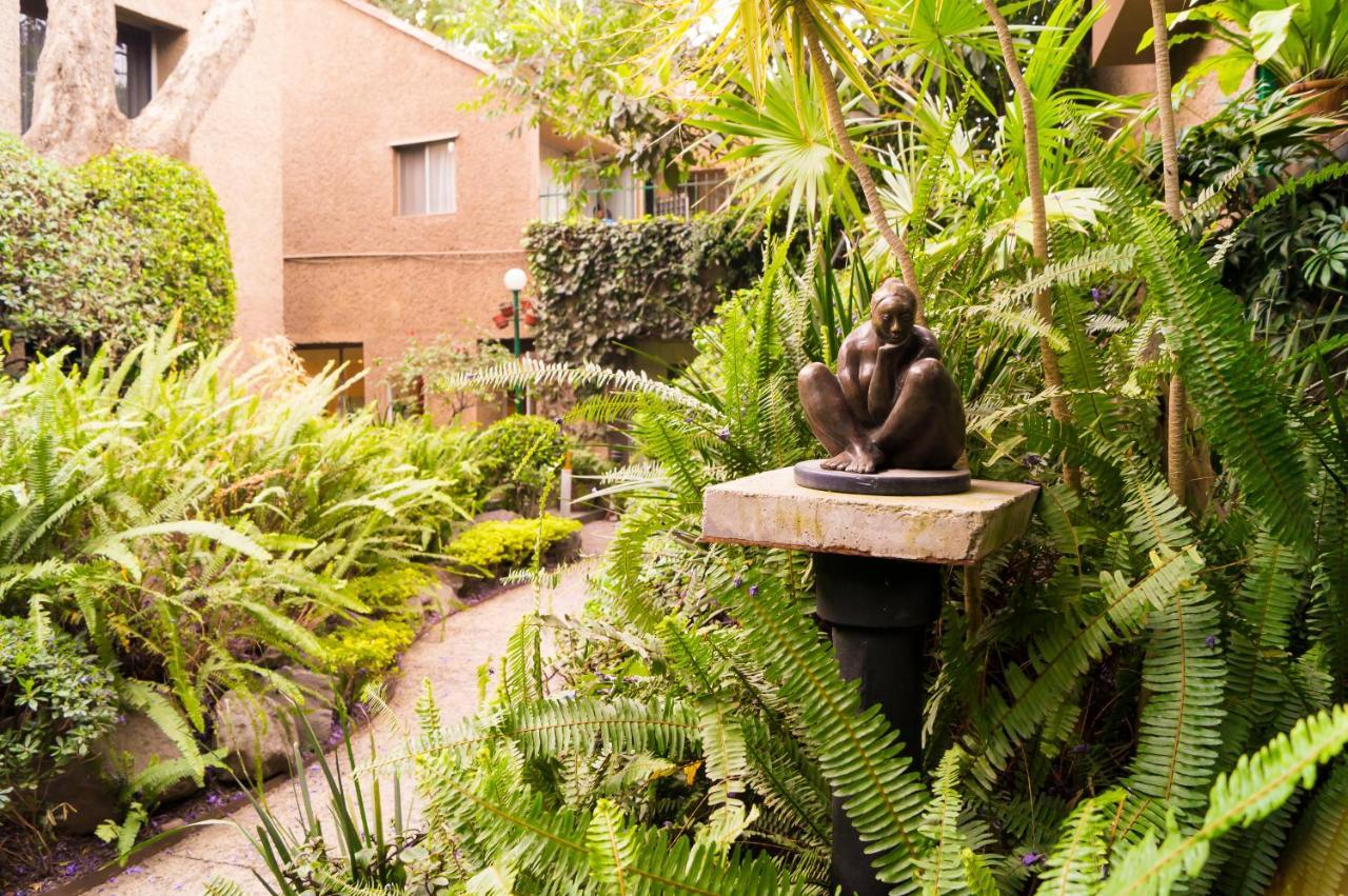 Suite 1-A Monasterio Garden House Welcome To San Angel Ciudad de México Exterior foto