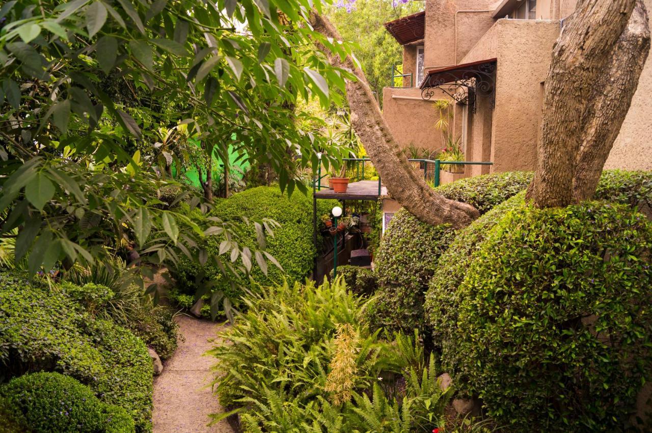 Suite 1-A Monasterio Garden House Welcome To San Angel Ciudad de México Exterior foto