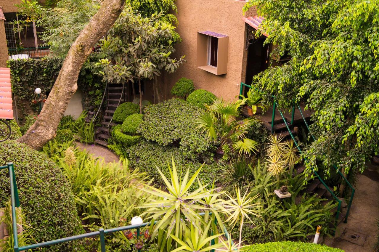 Suite 1-A Monasterio Garden House Welcome To San Angel Ciudad de México Exterior foto