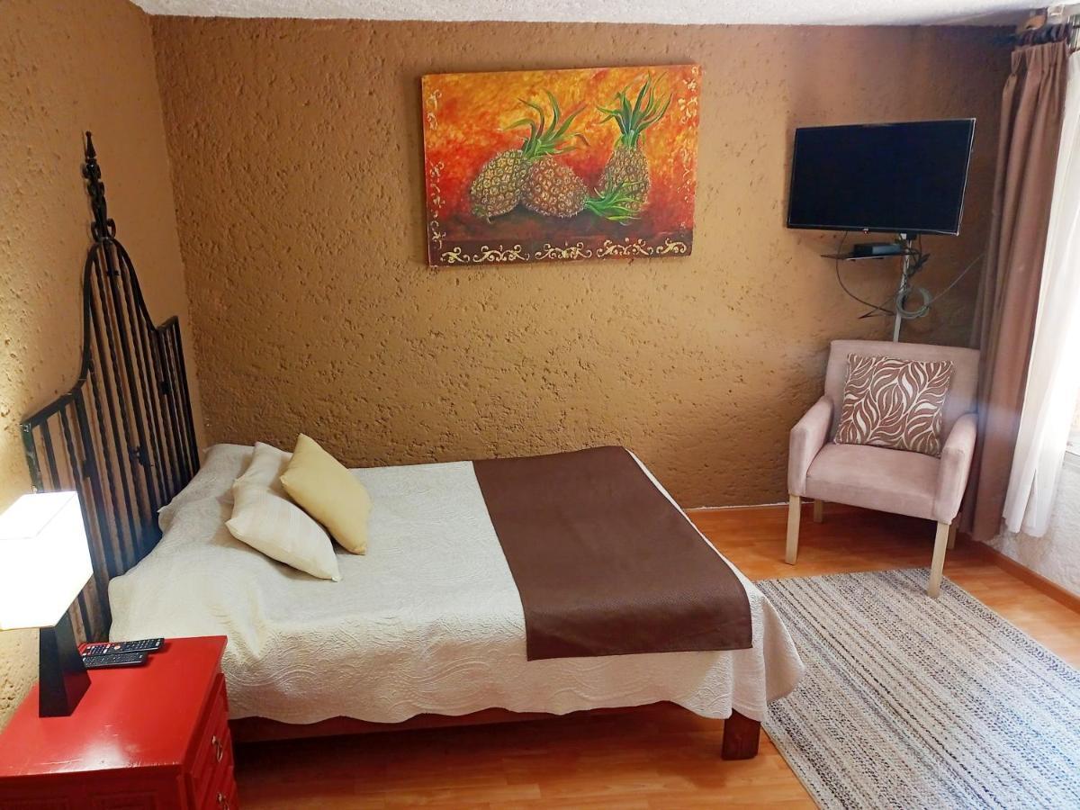 Suite 1-A Monasterio Garden House Welcome To San Angel Ciudad de México Exterior foto
