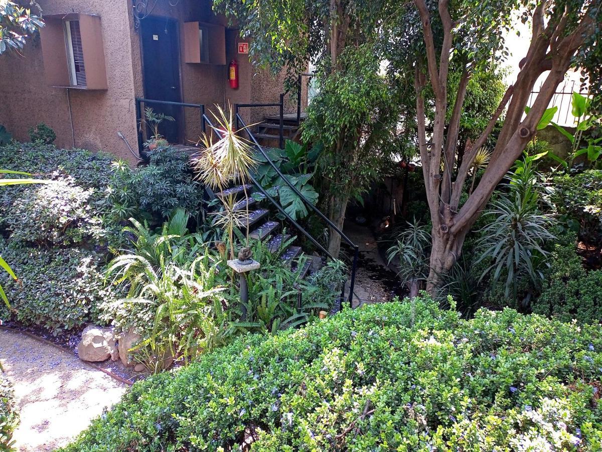 Suite 1-A Monasterio Garden House Welcome To San Angel Ciudad de México Exterior foto